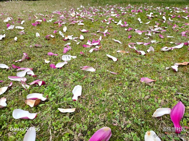 【沐浴春風】春風里的溫柔時光