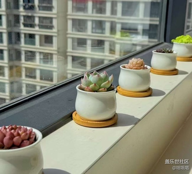 【折疊屏手機里的春天】美好春天