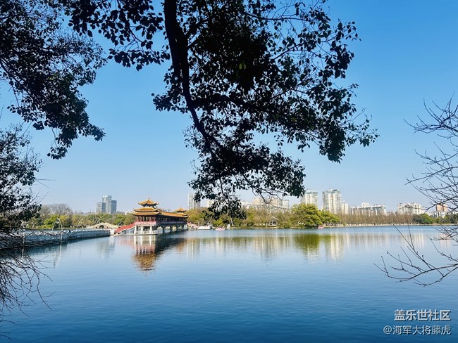 【迎春，在冬末】冬末迎春，靜待萬(wàn)物歸序