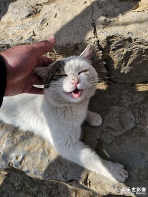 【春光里】偶遇攔路虎