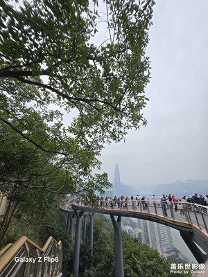 【春光里】春日景象