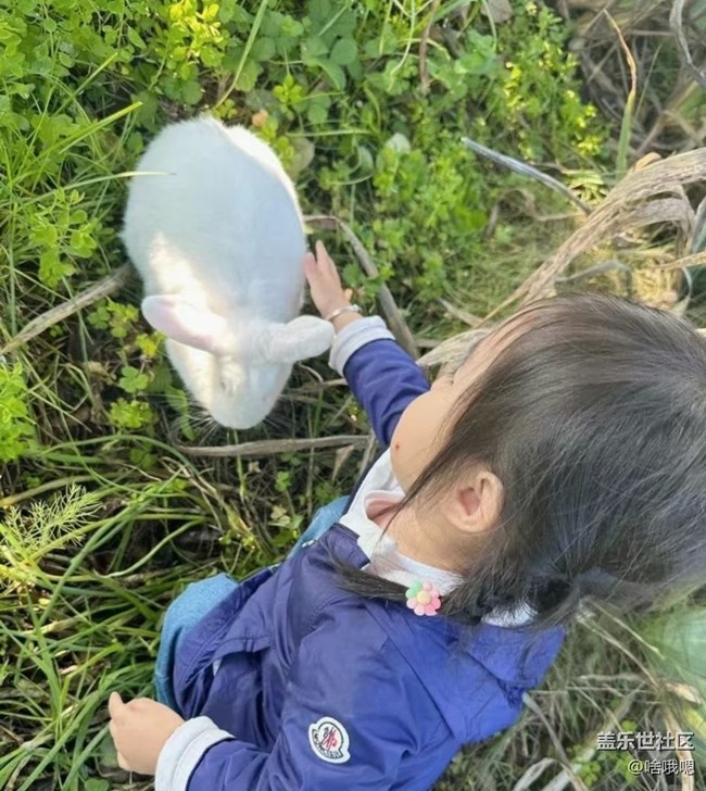 【春日限定】春天擼生活