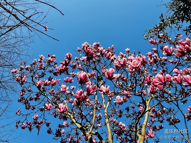 【迎春，在冬末】冬末迎春，靜待萬(wàn)物歸序