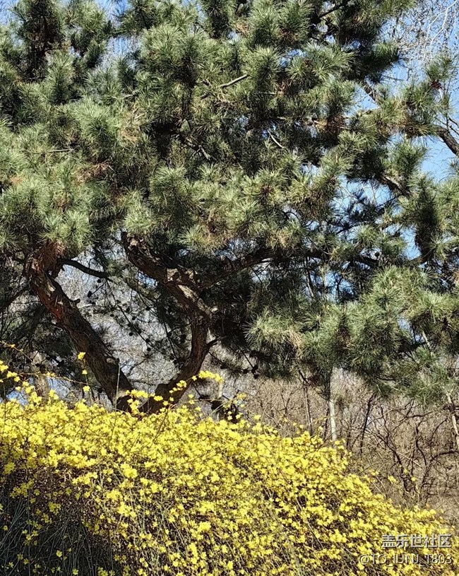 【折疊屏手機(jī)里的春天】城市風(fēng)光