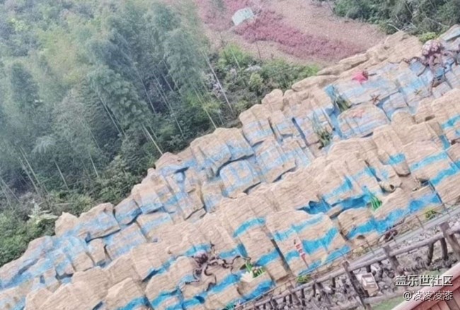 【春日限定】游樂園