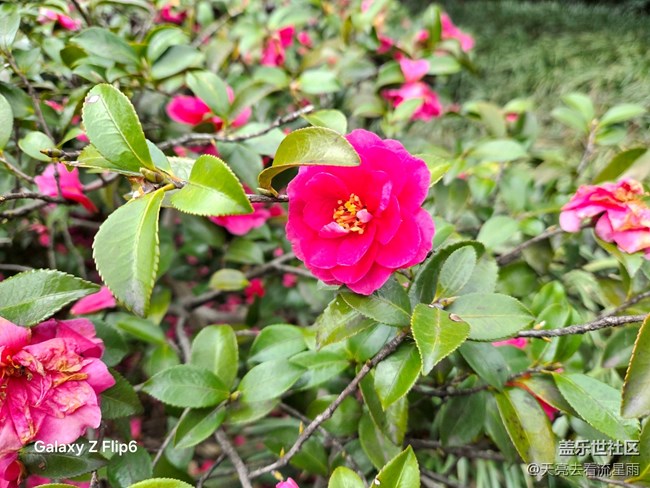 【沐浴春風】春風里的溫柔時光