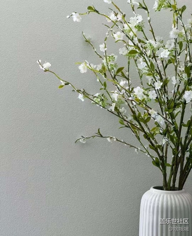 【折疊屏手機里的春天】美好春天