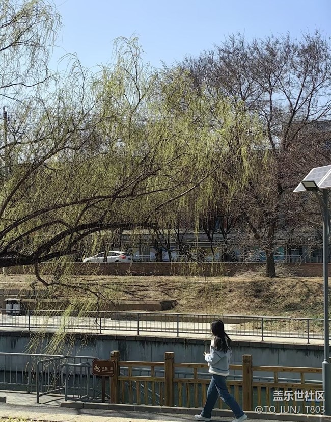 【折疊屏手機(jī)里的春天】城市風(fēng)光