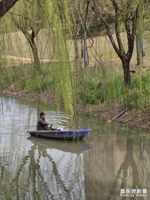 【春光里】滿眼皆詩意