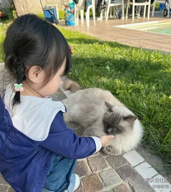 【春日限定】春天擼生活