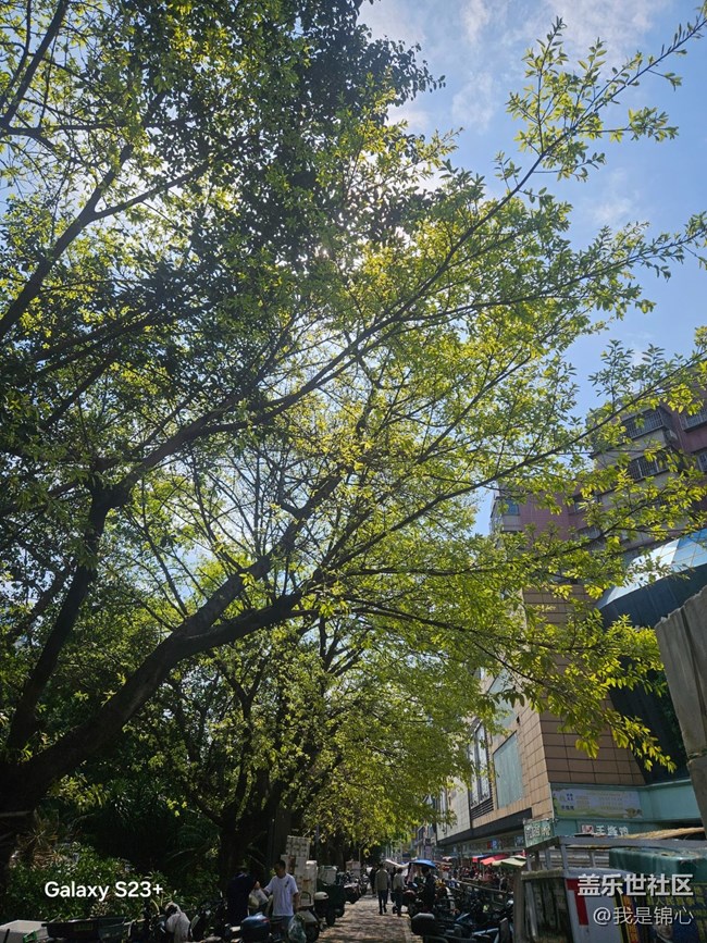 【春日限定】舒展的春天