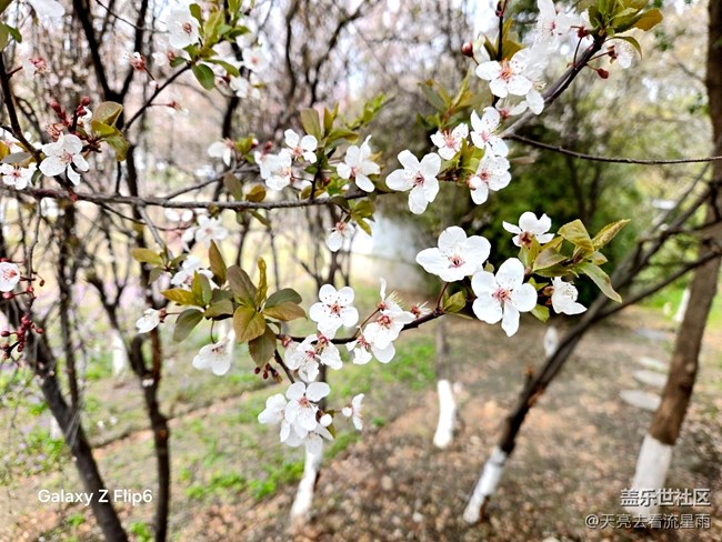 【沐浴春風】春風里的溫柔時光