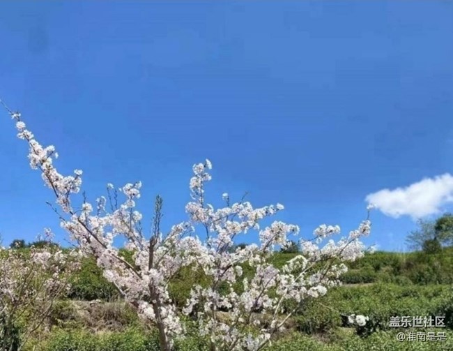 【春日限定】暖春時(shí)節(jié)