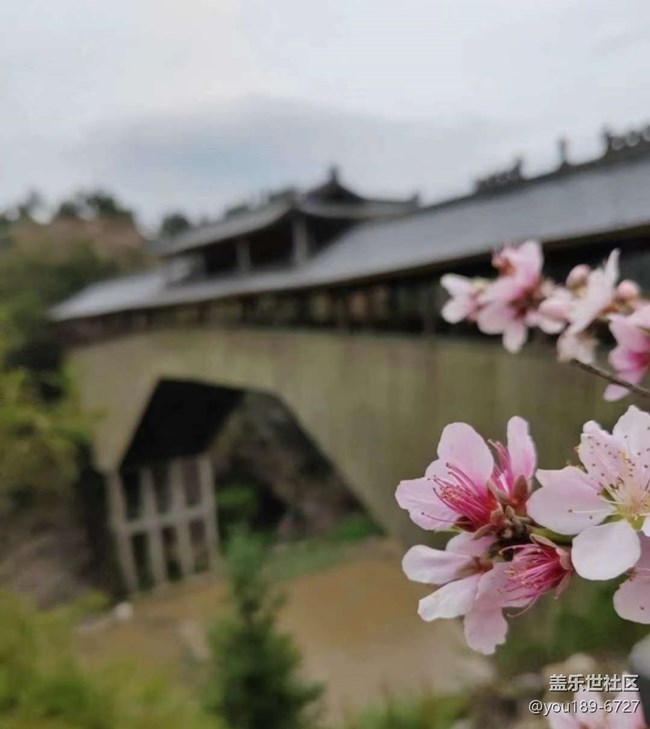 【春日限定】美好春天