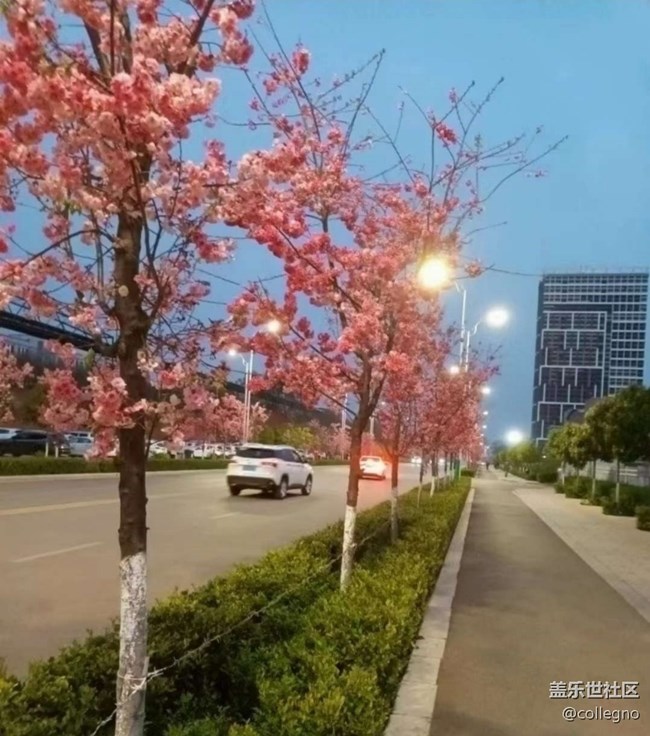 【折疊屏手機(jī)里的春天】春意盎然