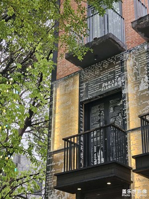 【春光里】+雨中漫步