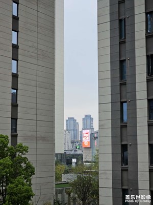 【春光里】+周末出行