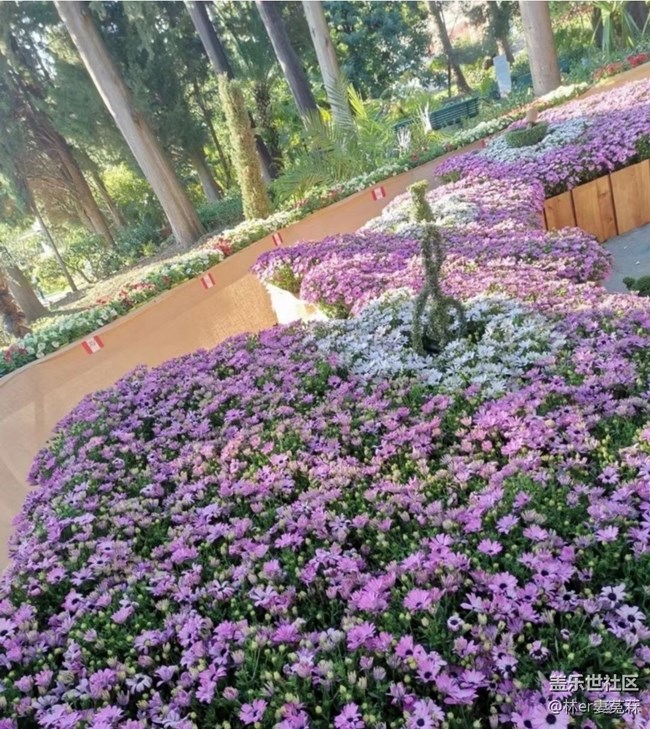 【春日限定】公園