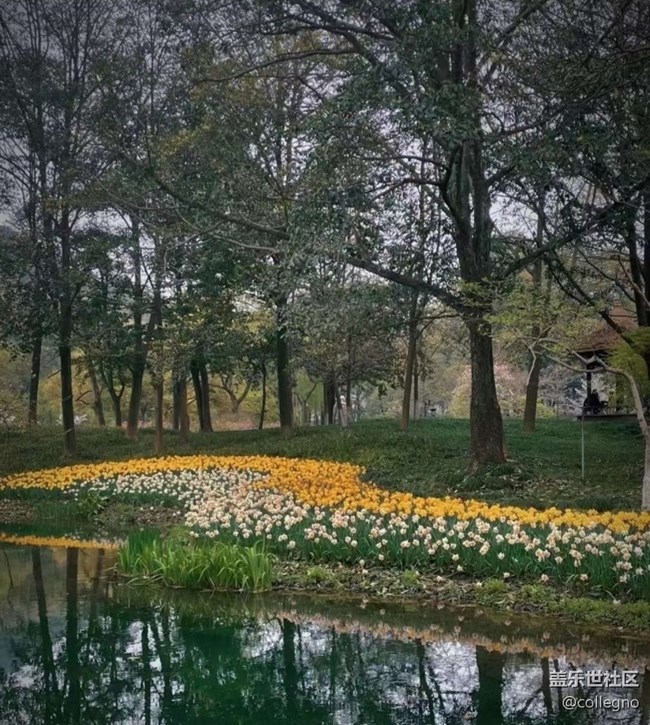 【折疊屏手機(jī)里的春天】春意盎然