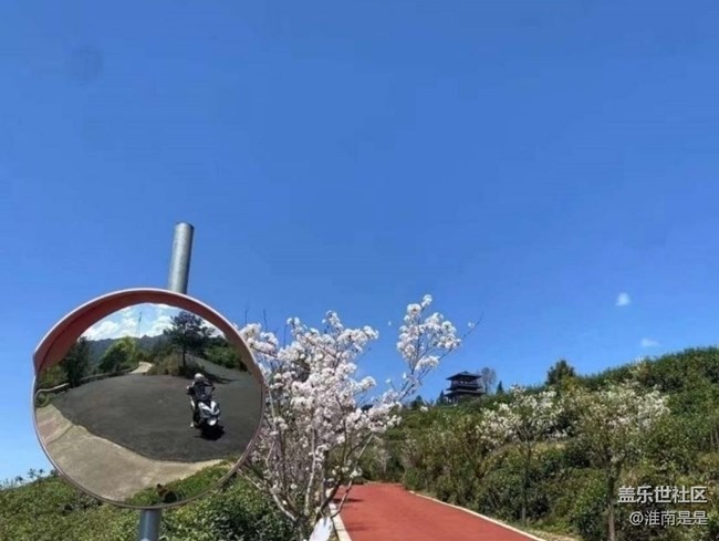 【春日限定】暖春時(shí)節(jié)