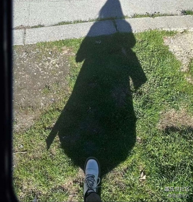 【折疊屏手機(jī)里的春天】春花