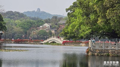 【春光里】嶺南春色