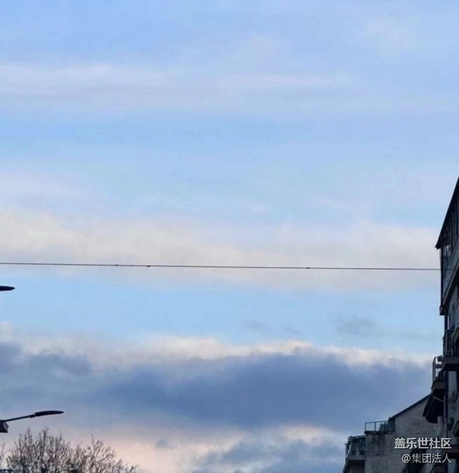 【折疊屏手機(jī)里的春天】春花