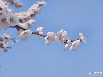 【春光里】到春天里走走