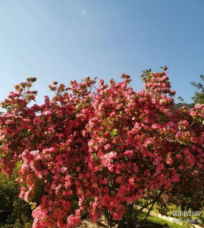 【春日限定】公園