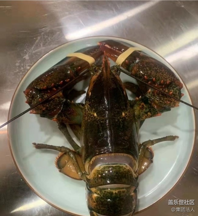 【春味正當時】待客