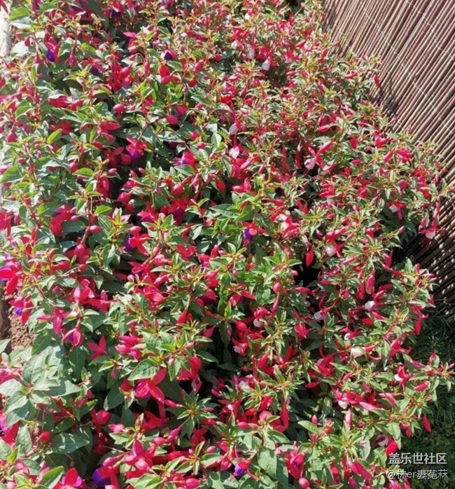 【春日限定】公園