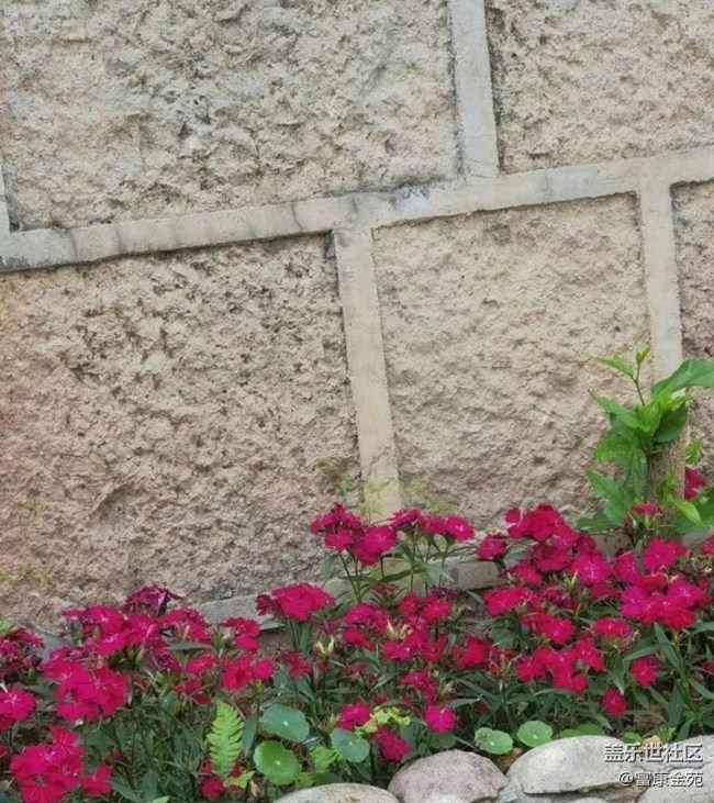 【春日限定】咖啡小院