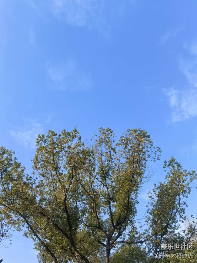 【迎春，在冬末】冬末尋春，在枝椏間等風(fēng)來