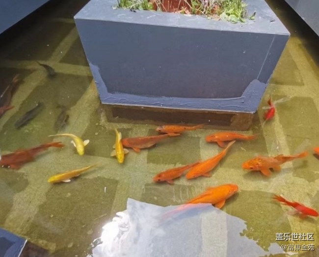 【春日限定】咖啡小院