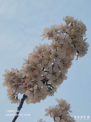 【春光里】花園一角