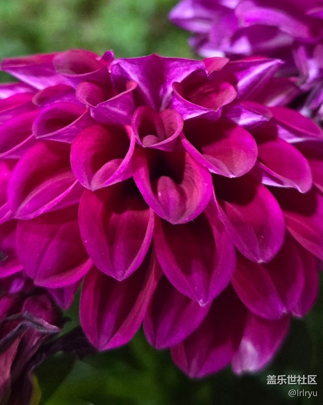 【一鏡藏春】春日花語(yǔ)