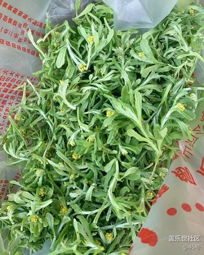 【折疊屏手機里的春天】春天的味道