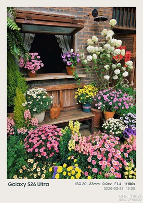 此刻即春光！三星S26 Ultra鏡頭里的三月莫奈花園