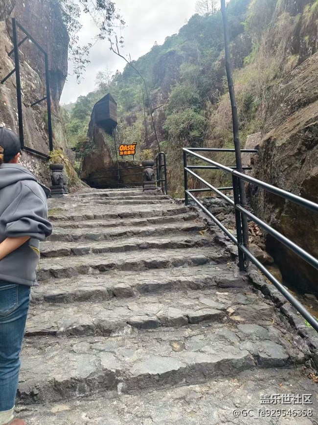 【春日限定】出游