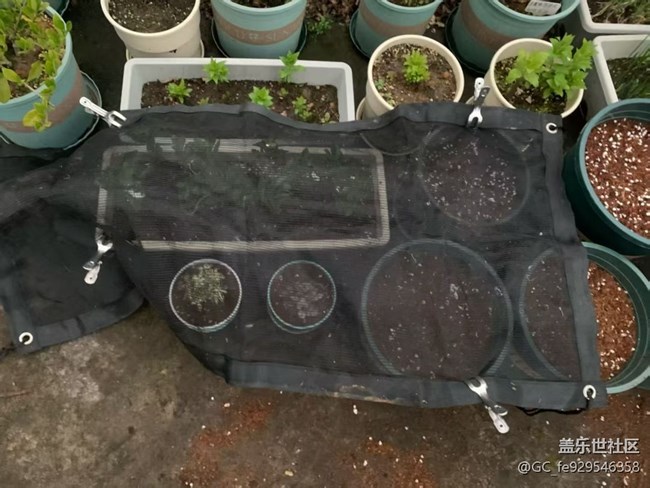 【折疊屏手機里的春天】春種