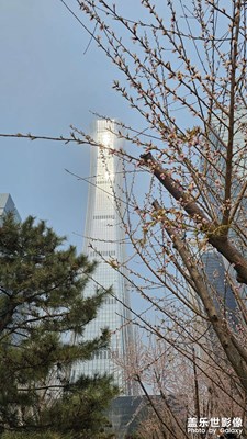 【春光里】都市里的春光