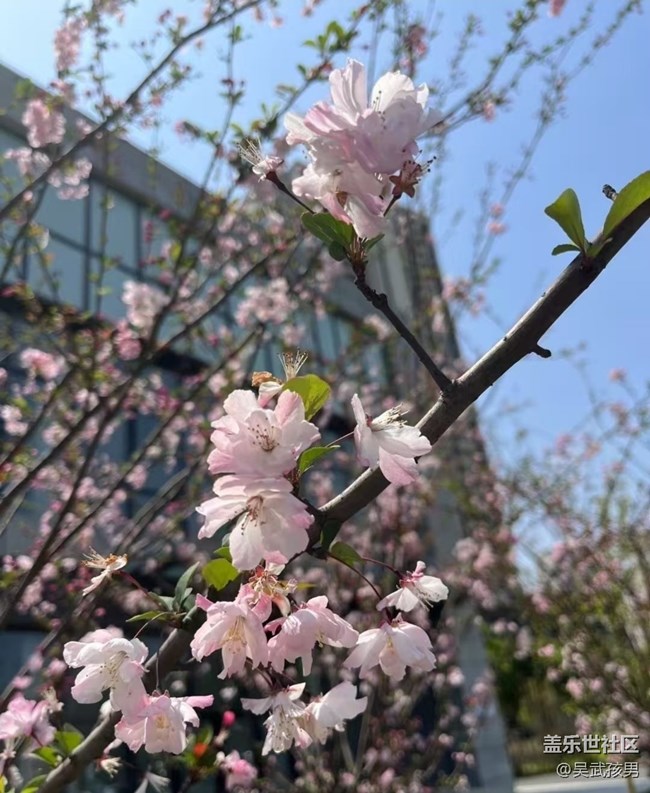 【折疊屏手機(jī)里的春天】好風(fēng)景