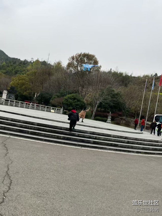 【春日限定】放風箏