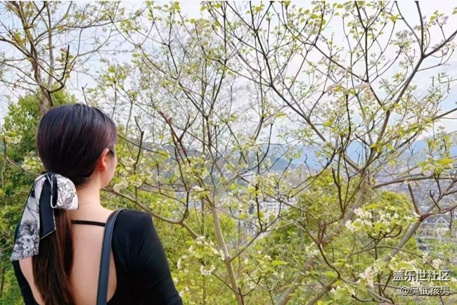 【春日限定】好天氣