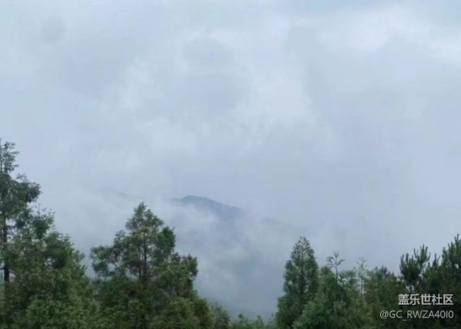 【春日限定】春日騎行