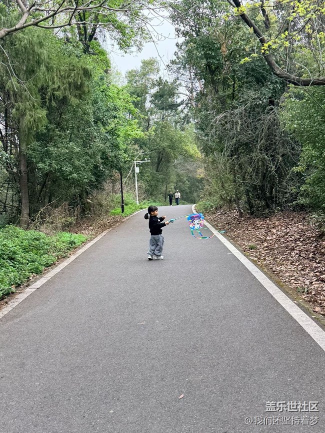 【春日限定】天氣不錯