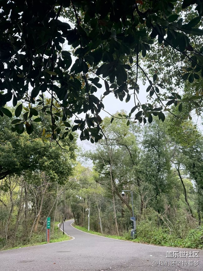 【春日限定】天氣不錯