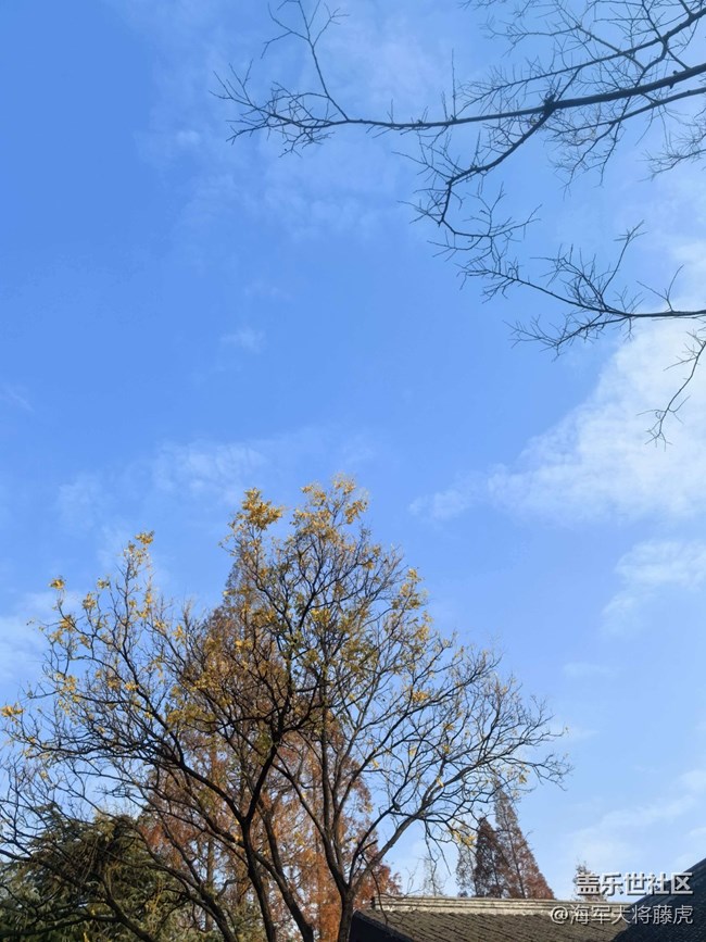 【迎春，在冬末】冬末尋春，在枝椏間等風(fēng)來