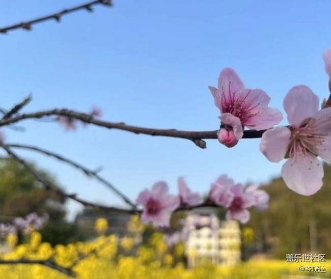 【春日限定】暖和