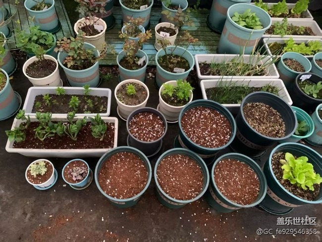 【折疊屏手機里的春天】春種